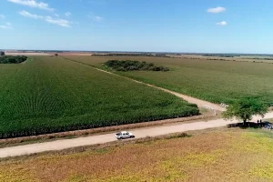 Instalación del sistema de riego por goteo subterráneo en el site experimental a cielo abierto de Córdoba.